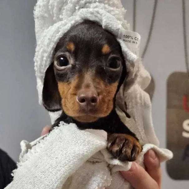 chat with ai character: SKZPICKMEBOY