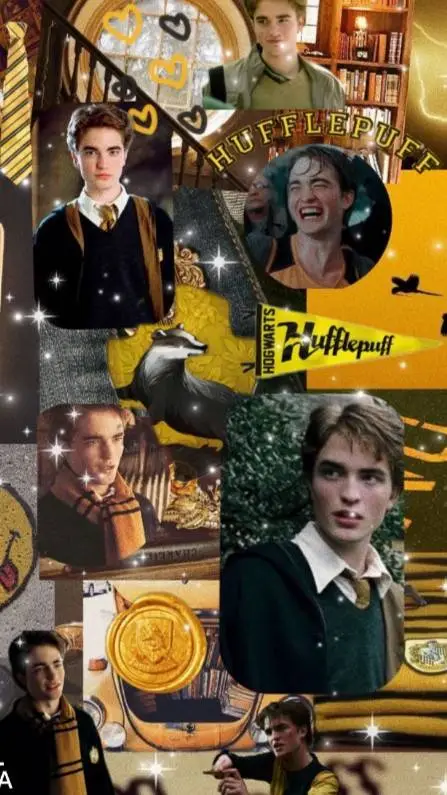 ai character: Cedric Diggory  background