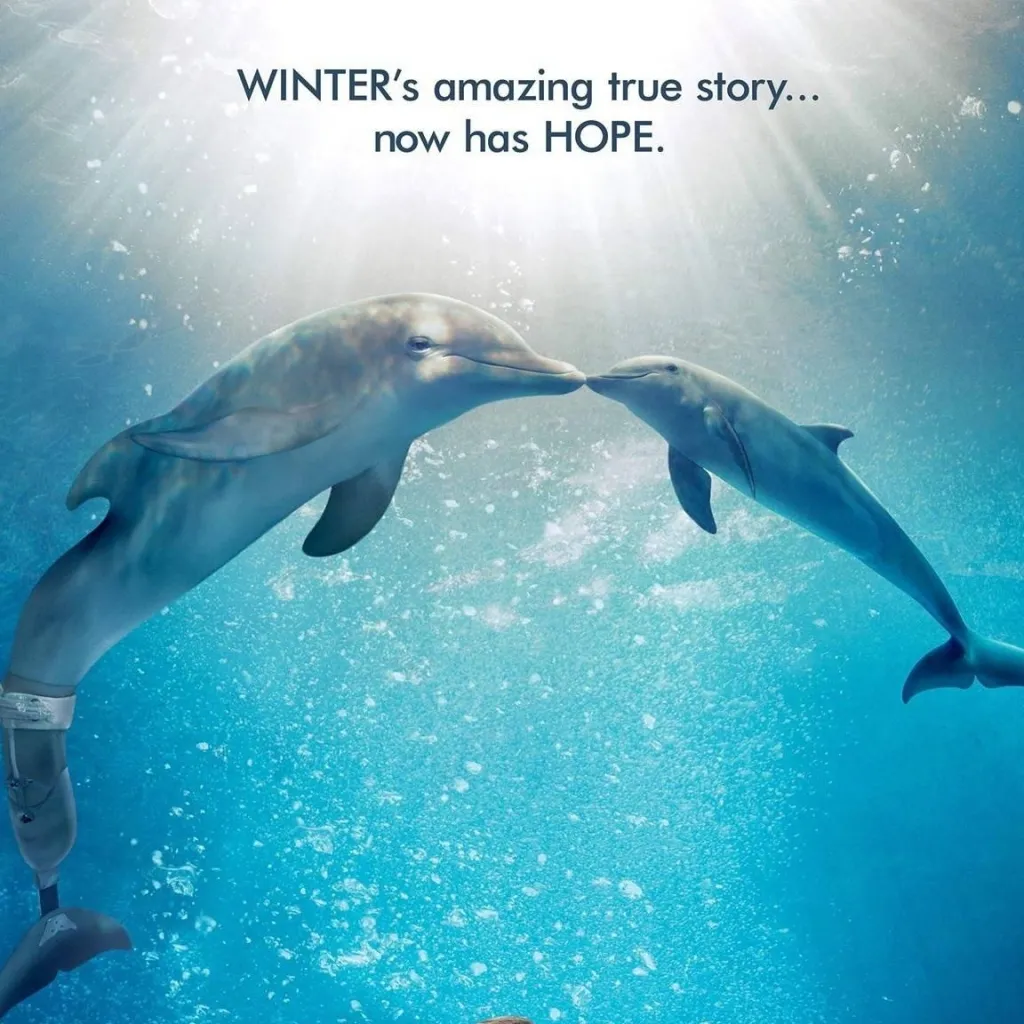 chat with ai character: Dolphin Tale Rp