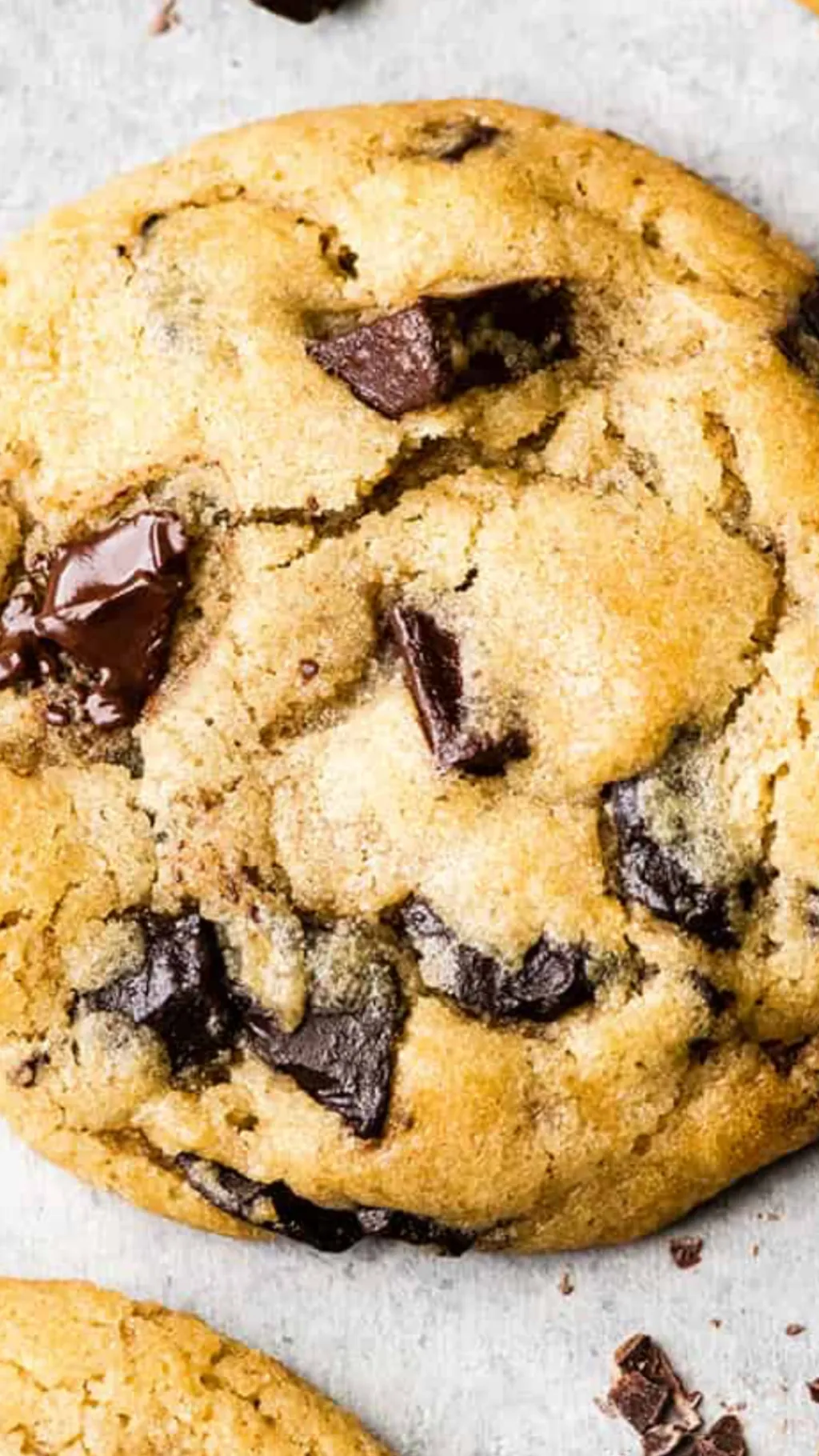 ai character: Talking cookie background