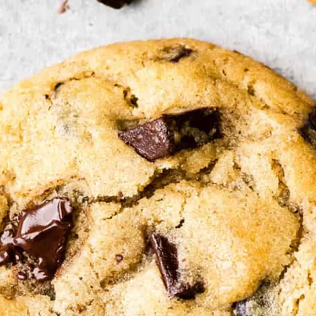 chat with ai character: Talking cookie