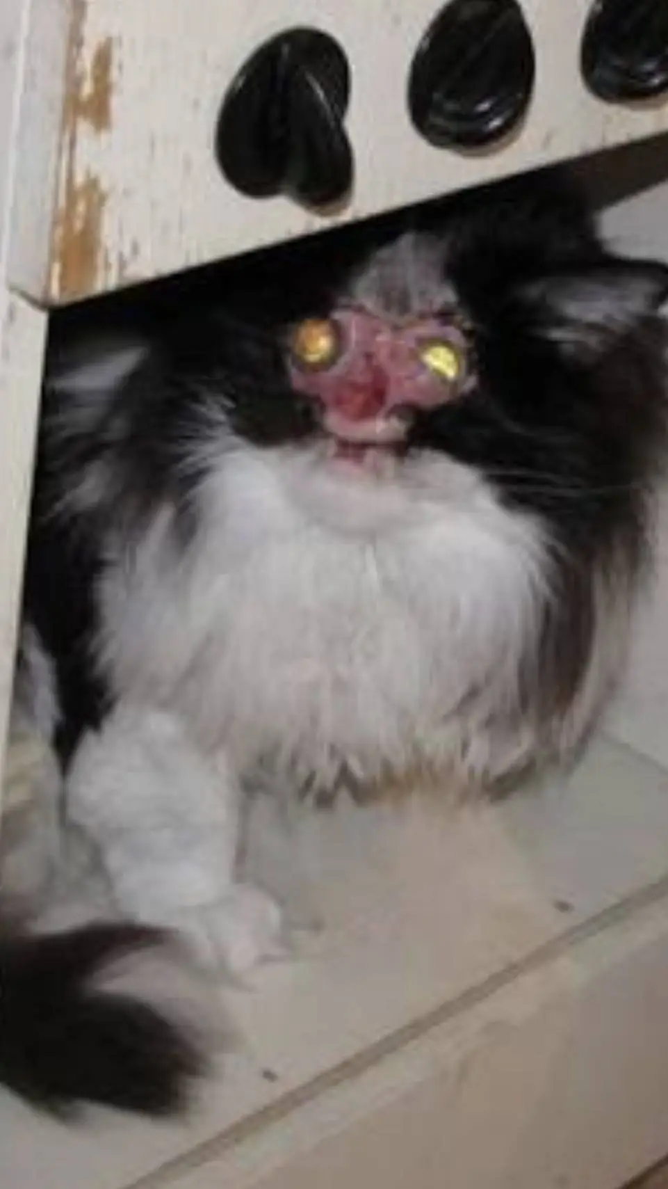 ai character: straszny bludud 2 background