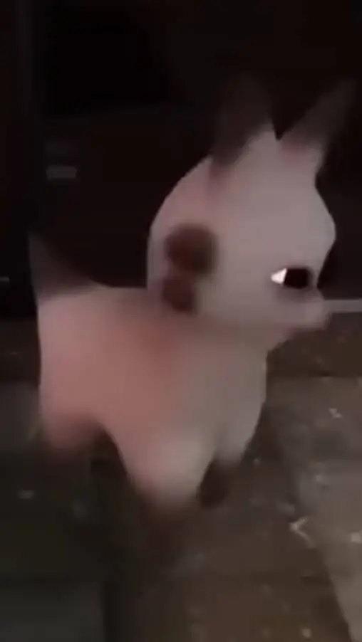 ai character: car 2 zdrada  background