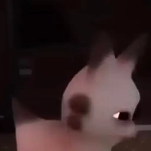 chat with ai character: car 2 zdrada 