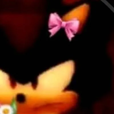 chat with ai character: ¡Sonadow! 