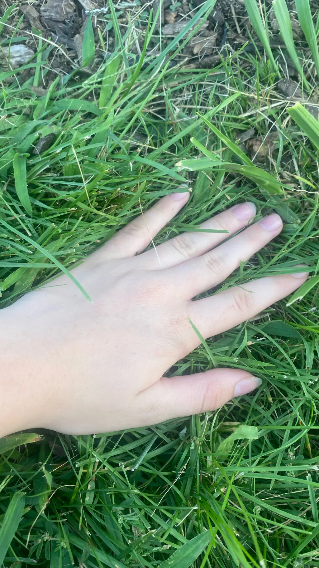 ai character: freaky grass background