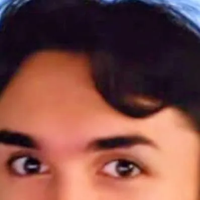 chat with ai character: Louisayy