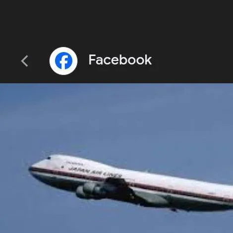 chat with ai character: Japan Airlines 123
