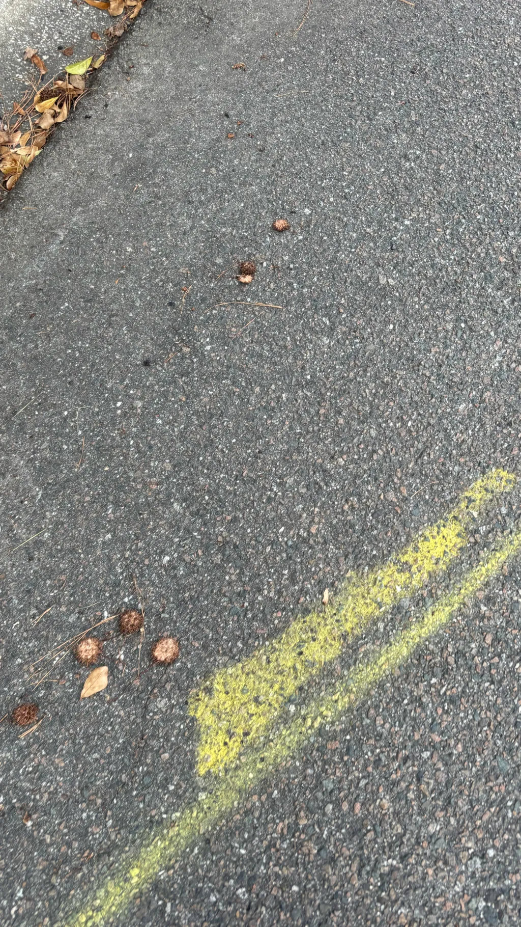 ai character: 𝓦𝓪𝓵𝓴 background