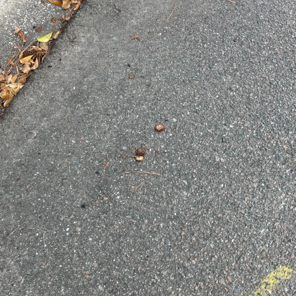 chat with ai character: 𝓦𝓪𝓵𝓴