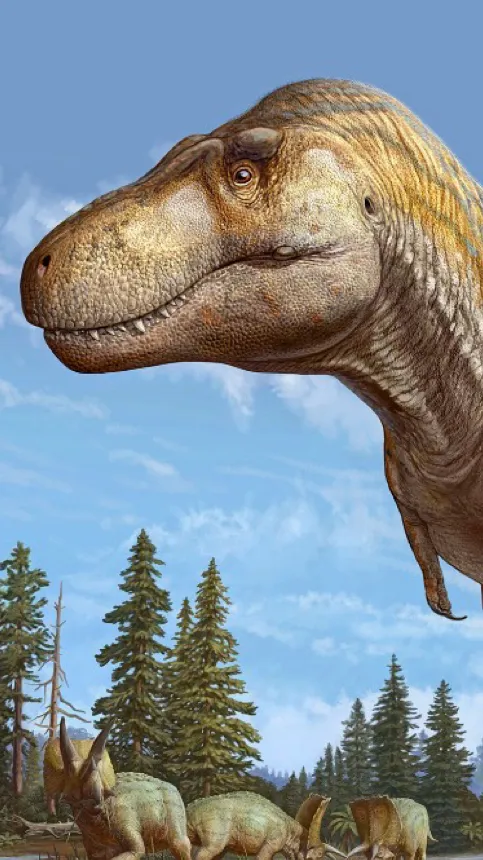 Talkie AI - Chat with Elphaba 