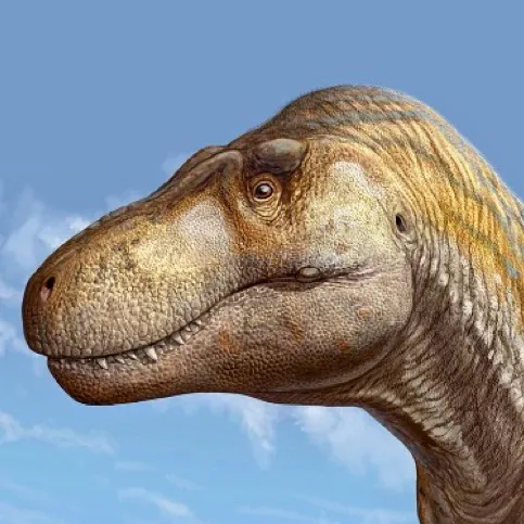 chat with ai character: Elphaba 