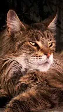 ai character: tree  background