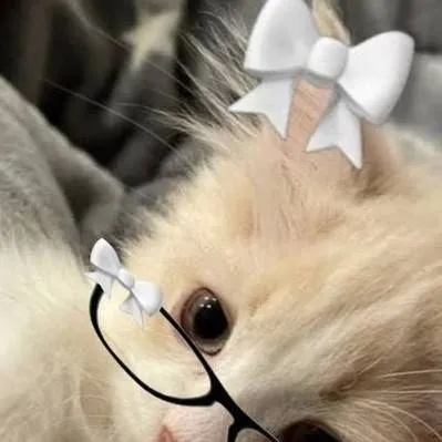 chat with ai character: tu gatita