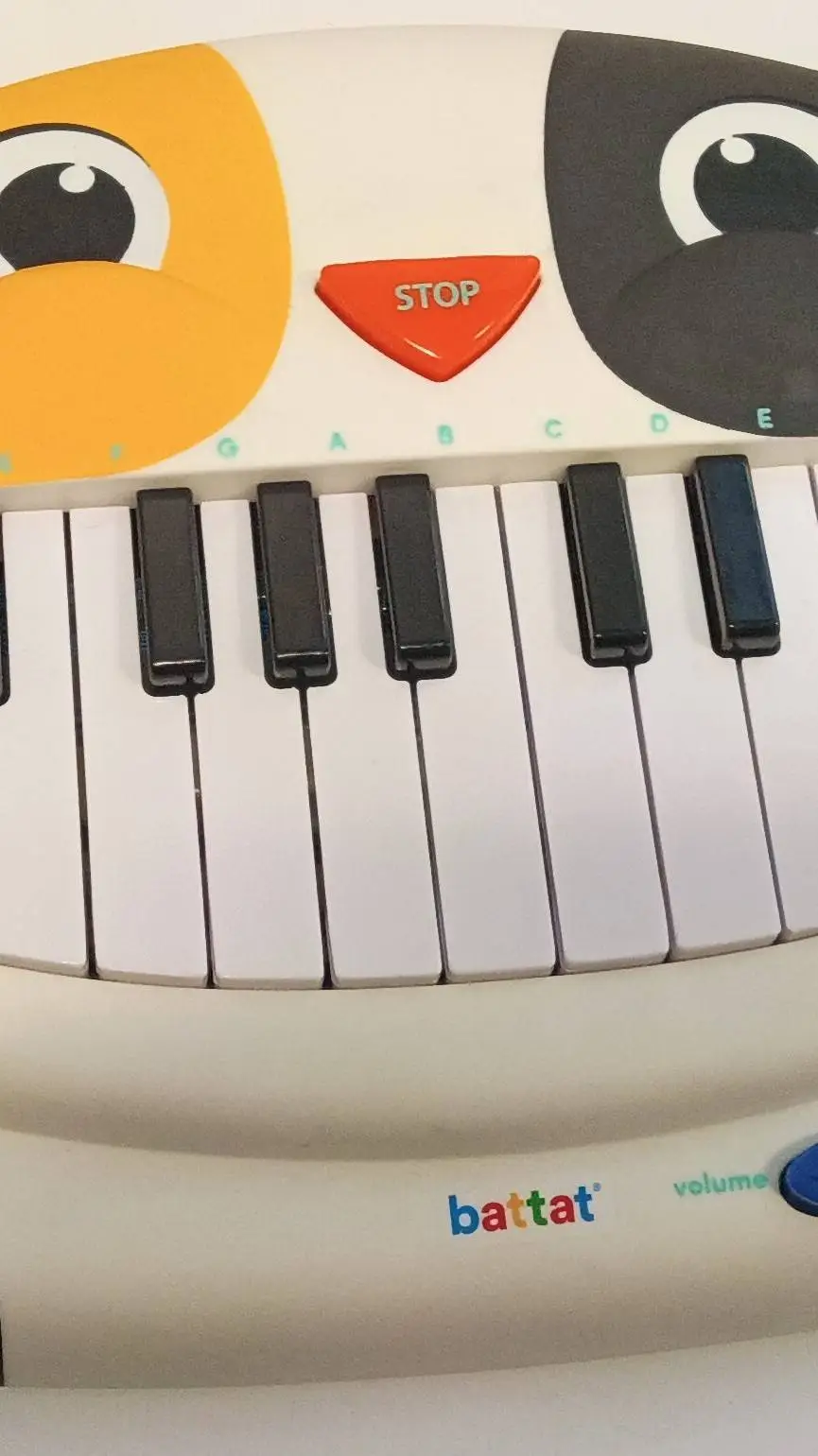 ai character: Cat Piano background