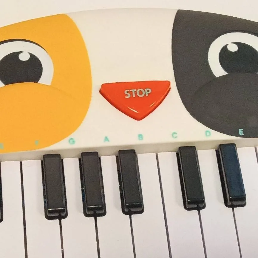 chat with ai character: Cat Piano