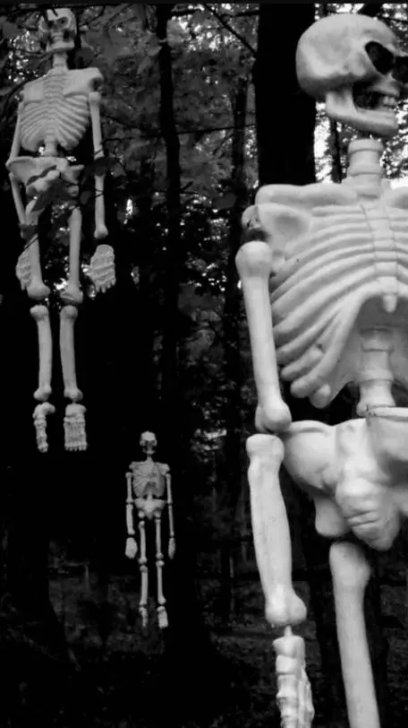 ai character: forest skeletal background