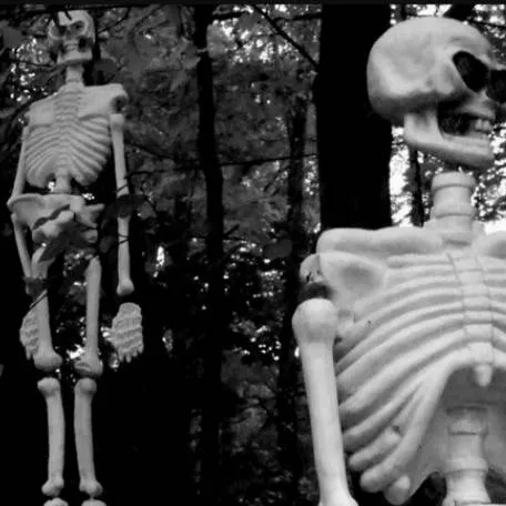 chat with ai character: forest skeletal
