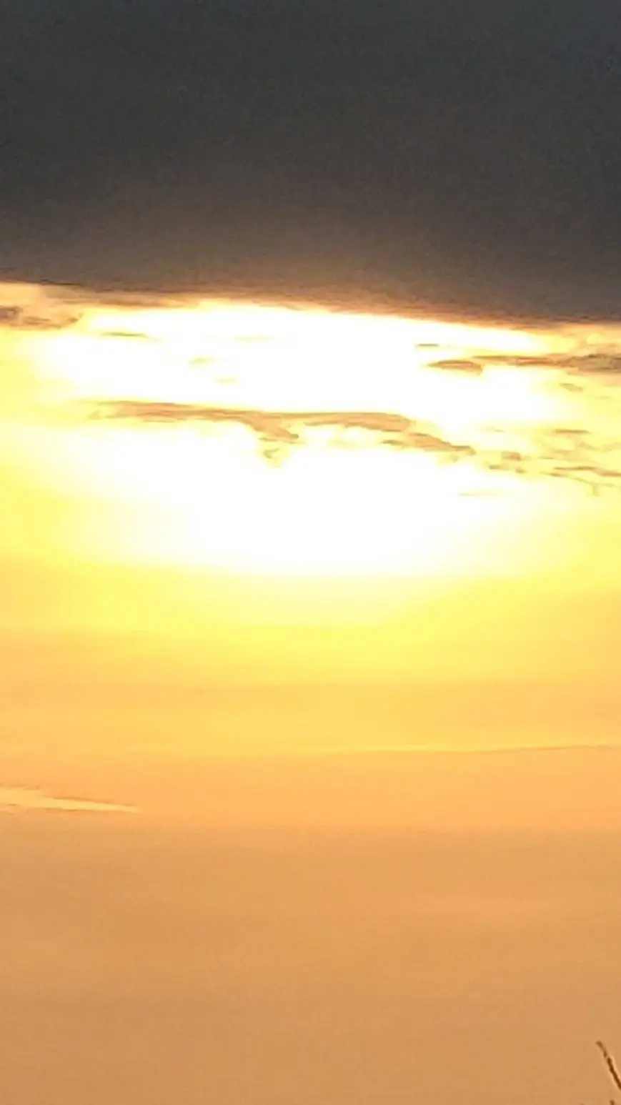 ai character: FOE bubble's vore background