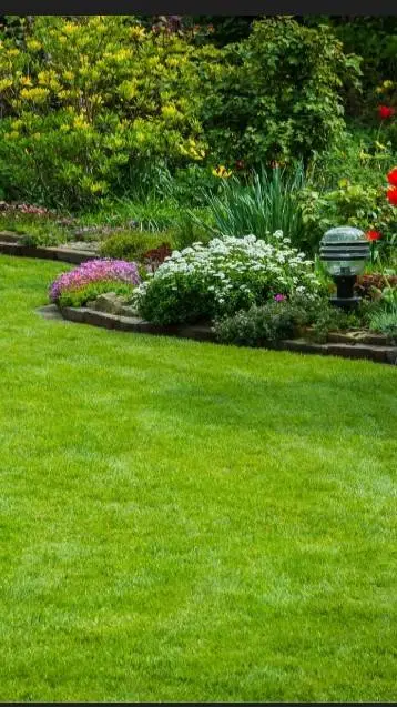 ai character: FPE bubble giant background