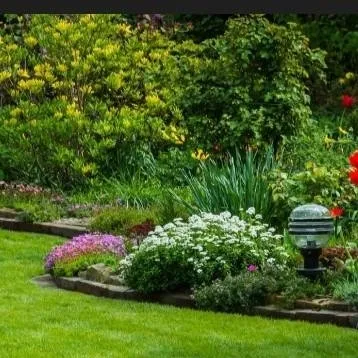 chat with ai character: FPE bubble giant