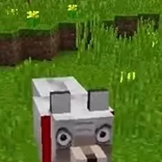chat with ai character: Lookout2dd's dog