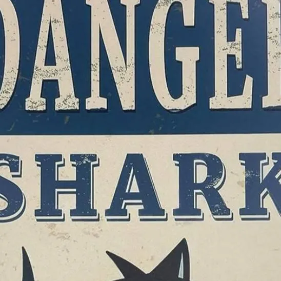 chat with ai character: Vox x You