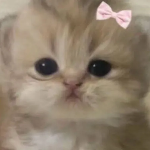 chat with ai character: nbem