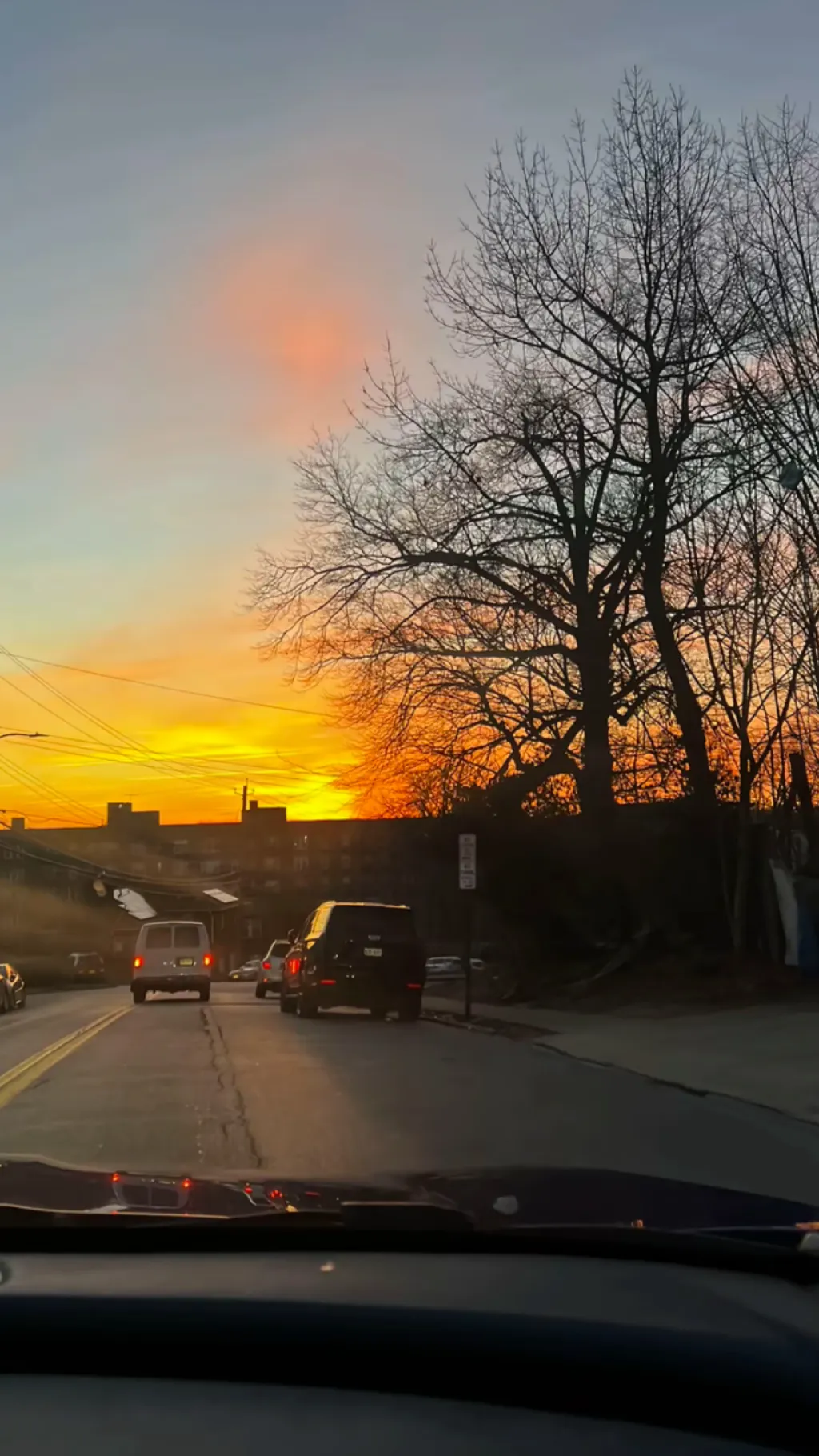 ai character: My mind 💐🛍️🥥 background