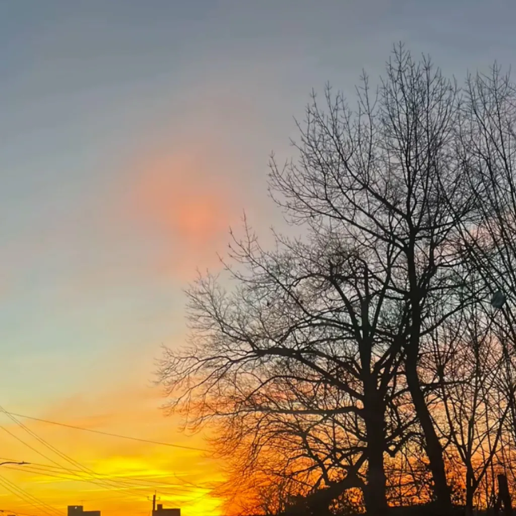 chat with ai character: My mind 💐🛍️🥥