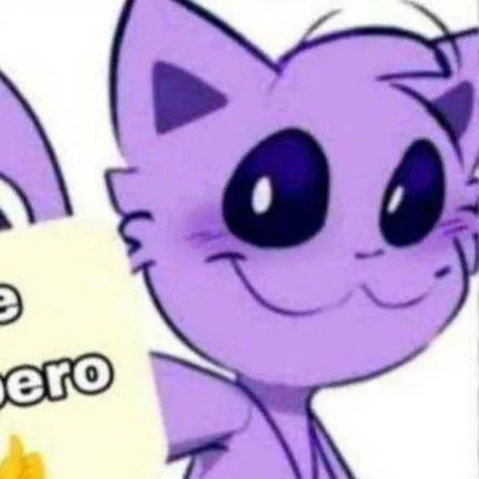 chat with ai character: catnap