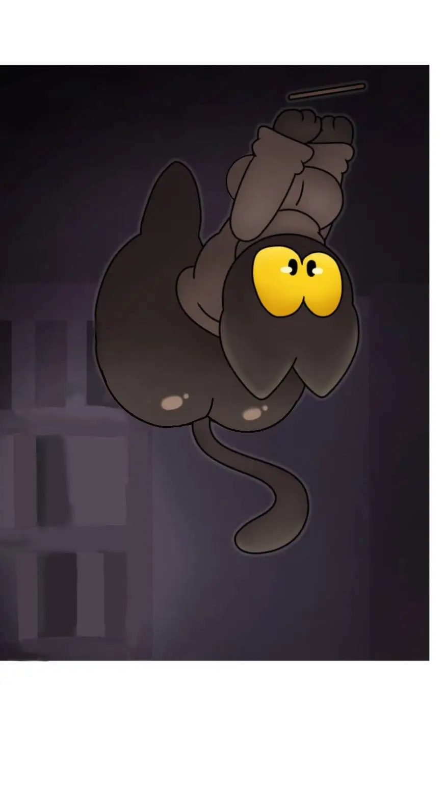 ai character: 👀🌚Momo the cat🌚👀 background