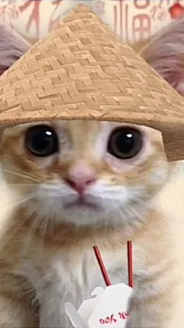 ai character: The Chinese cat ￼ background