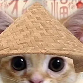 chat with ai character: The Chinese cat ￼