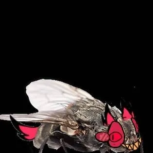 chat with ai character: hh truth or dare