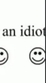 ai character: you.are.an.idiot. background