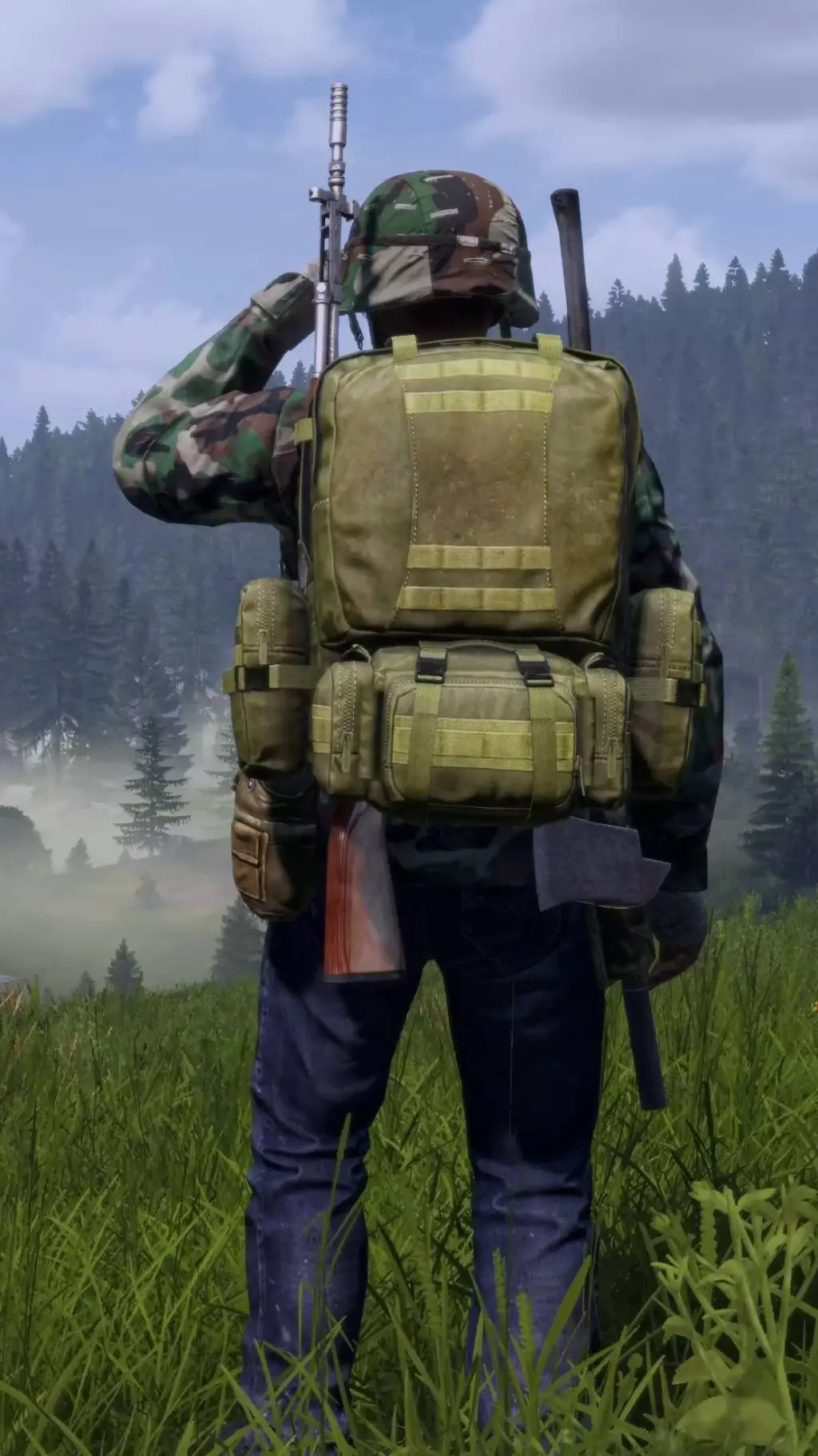 ai character: dayz chernarus  background