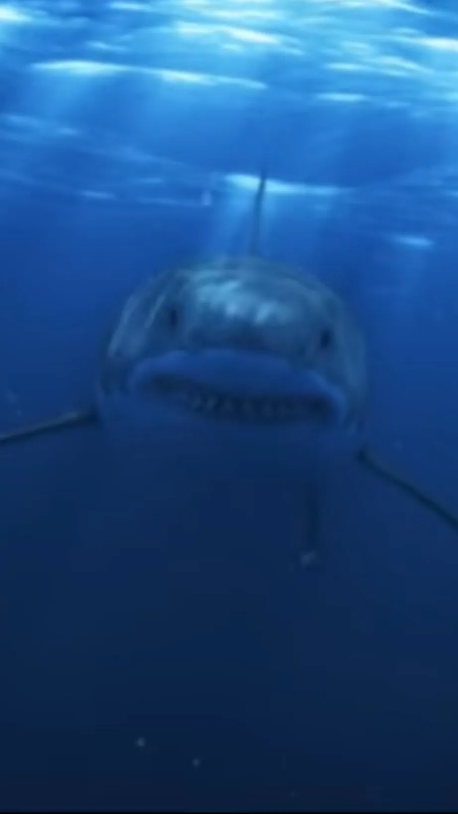 ai character: Shark￼￼ background