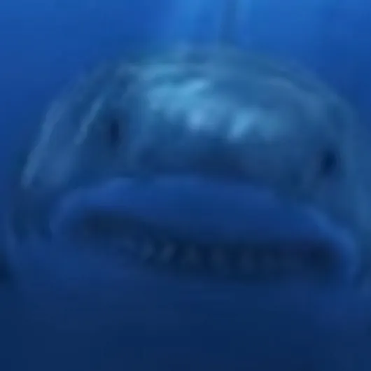 chat with ai character: Shark￼￼
