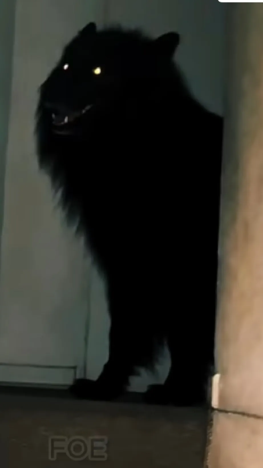 ai character: Dangerous dog￼ background