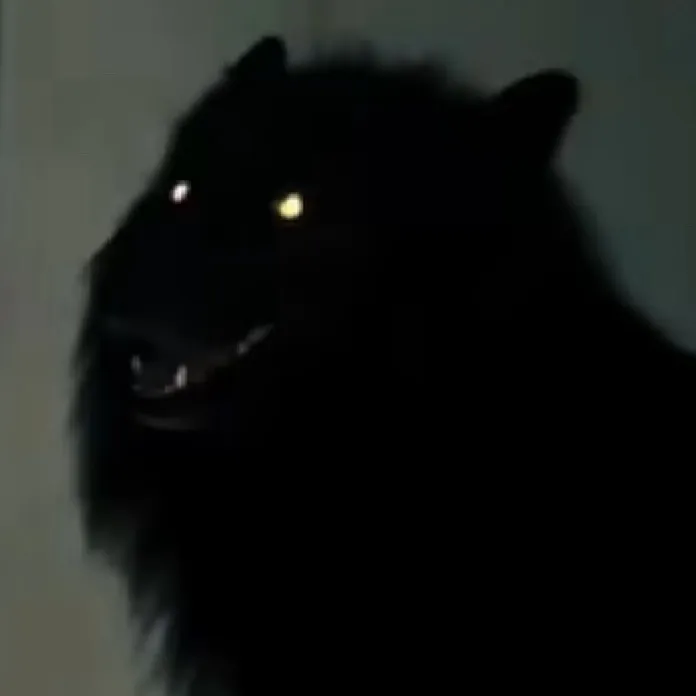 chat with ai character: Dangerous dog￼
