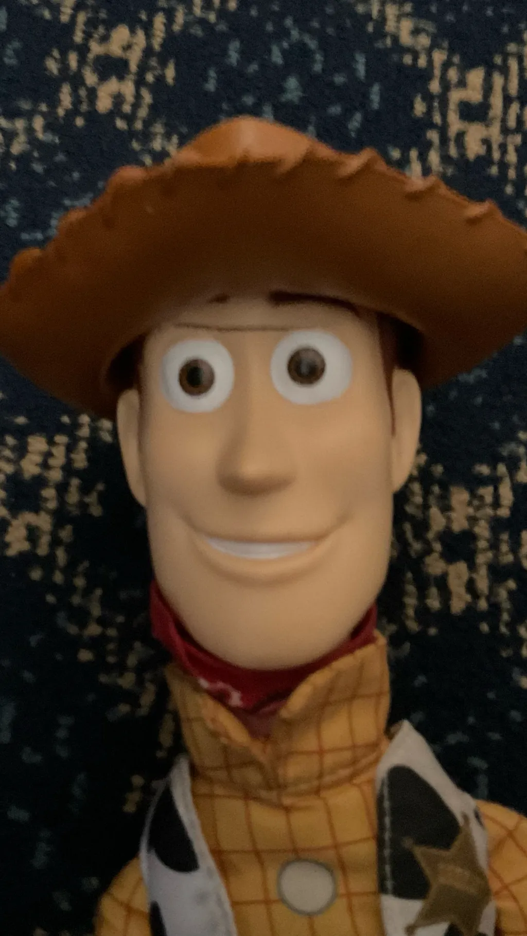ai character: Woody background