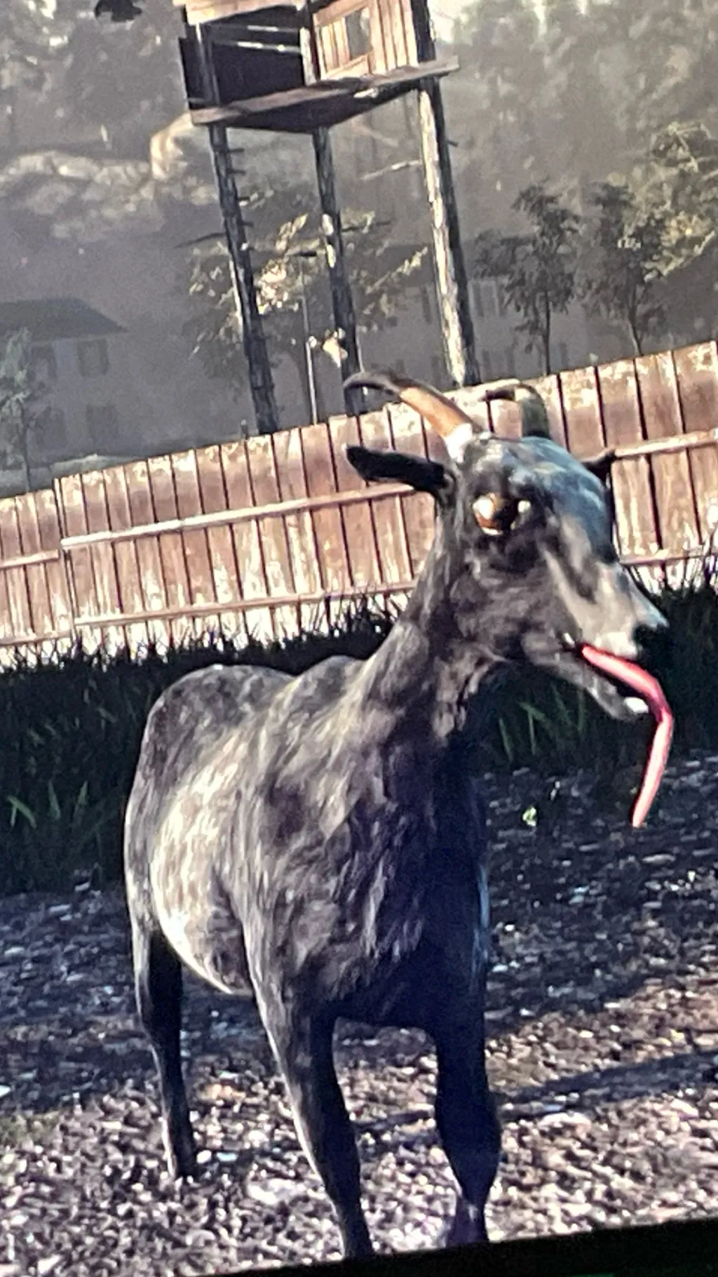ai character: Goat background