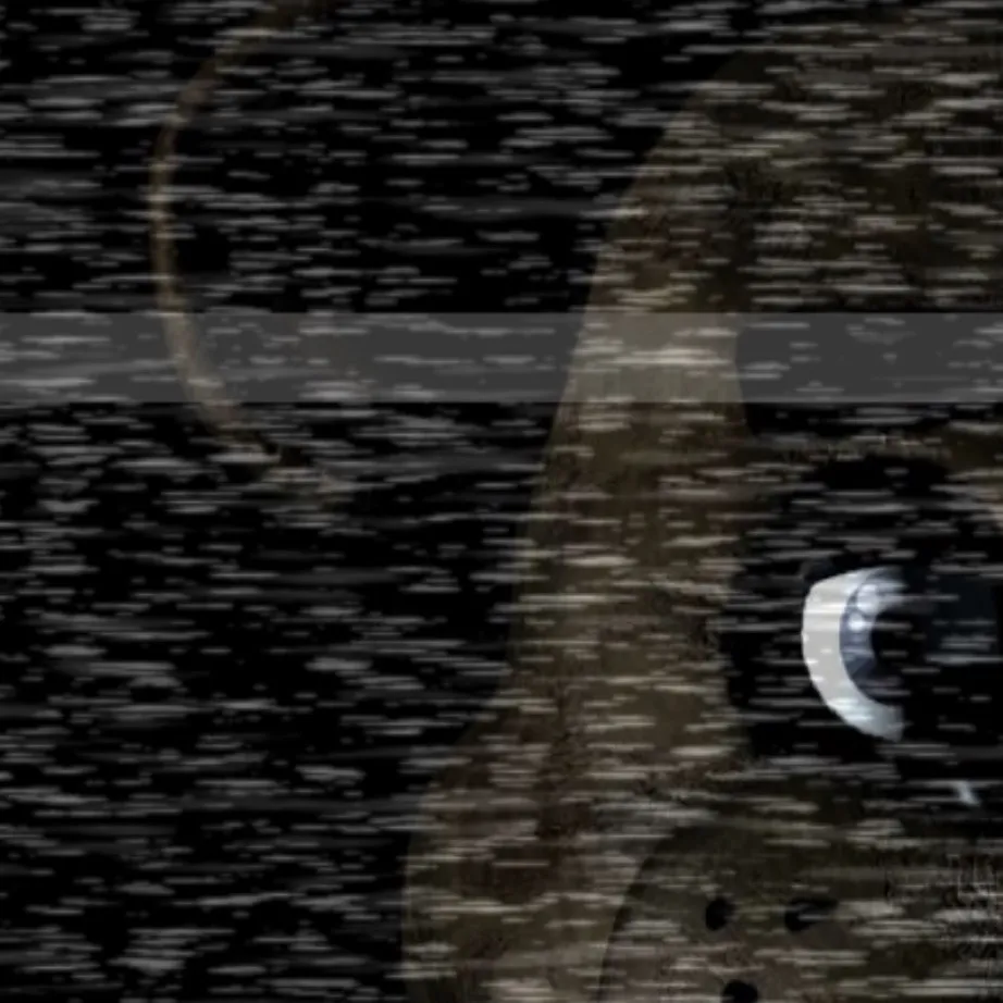 chat with ai character: 5 nights at Freddy