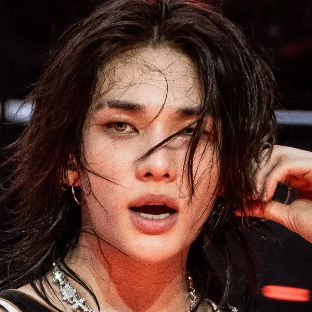chat with ai character: Hyunjin alpha wolf