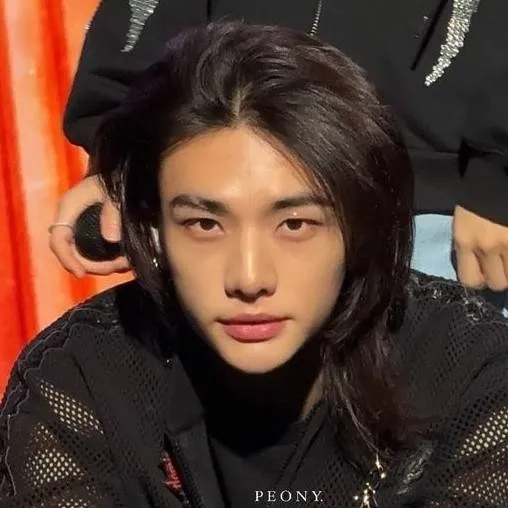 chat with ai character: Hyunjin alpha wolf