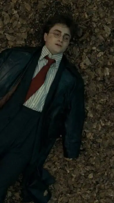 ai character: Harry Pottah background