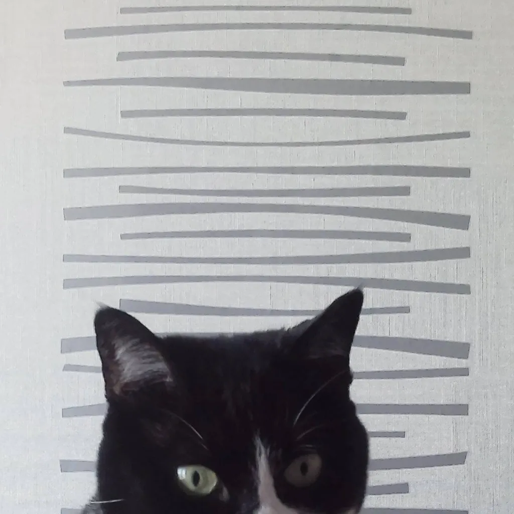 chat with ai character: salut toi