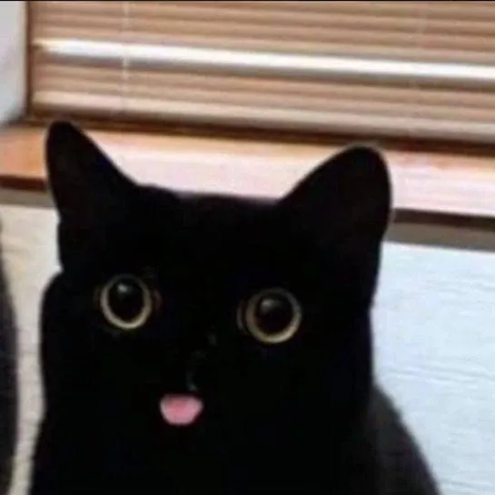chat with ai character: HTTYD pet shop