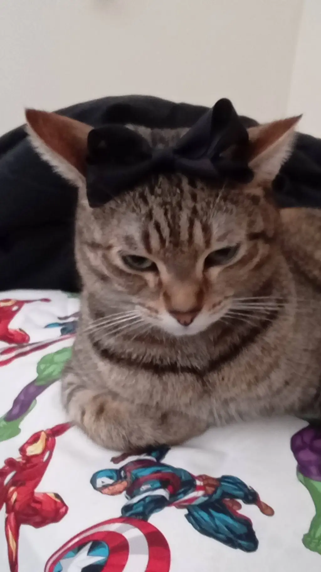 ai character: Bakugo background